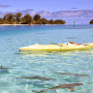 Meet your Posher, Saeli